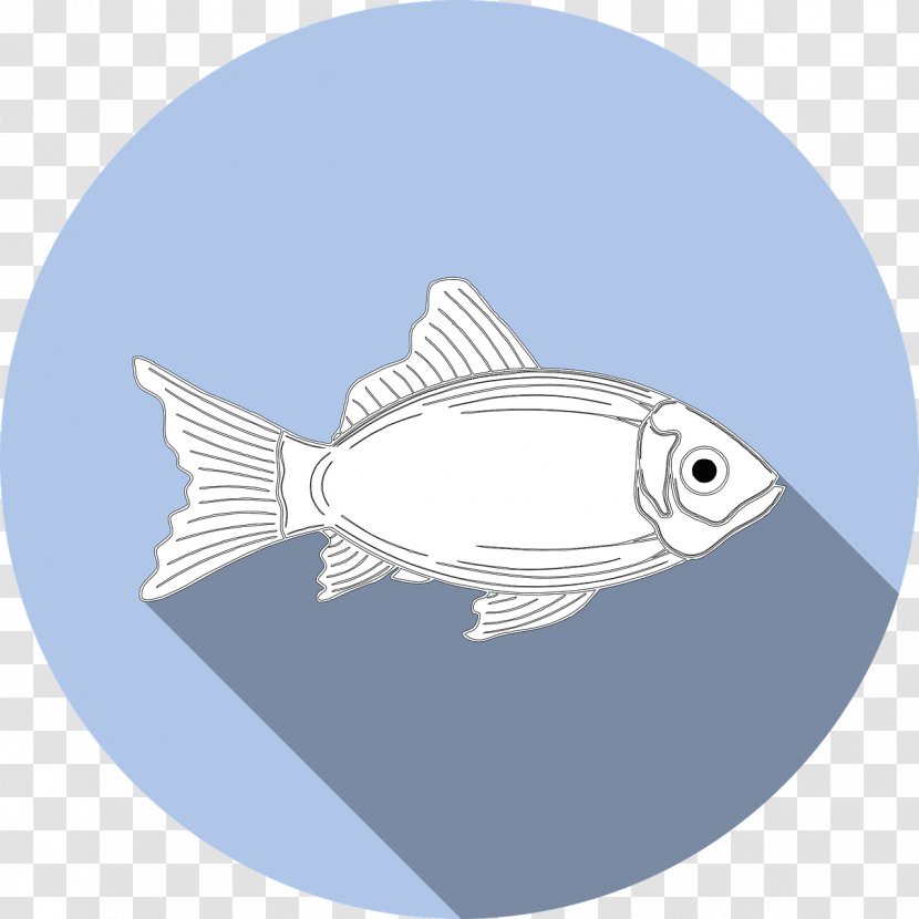 Fishing Allergy Fried Fish Seafood - Symbol Transparent PNG