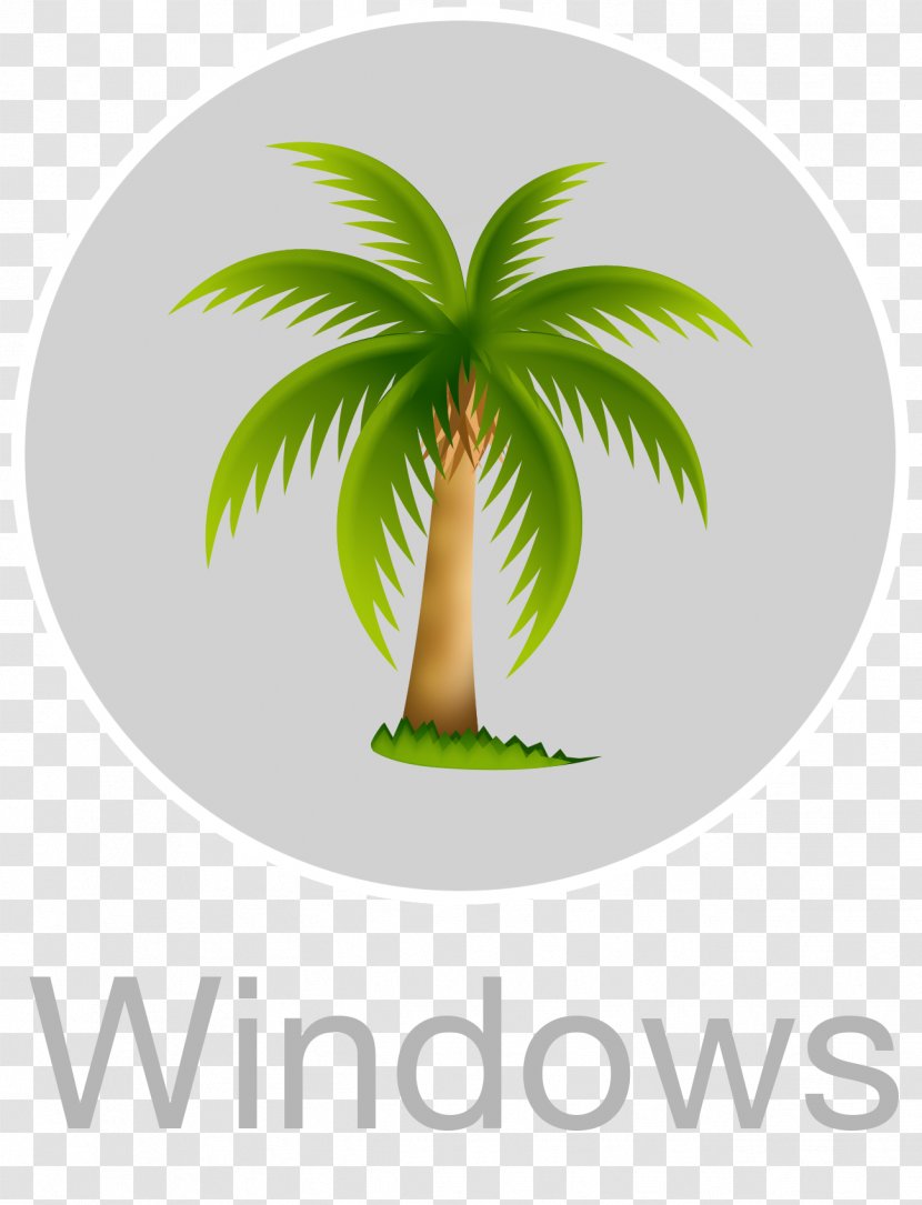 Laptop Computer Software Microsoft Installation - Tree Transparent PNG