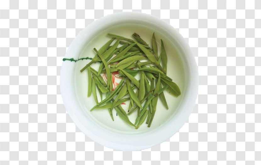 Longjing Tea Xinyang Maojian Cup - Bean - Tips At The Bottom Of Transparent PNG