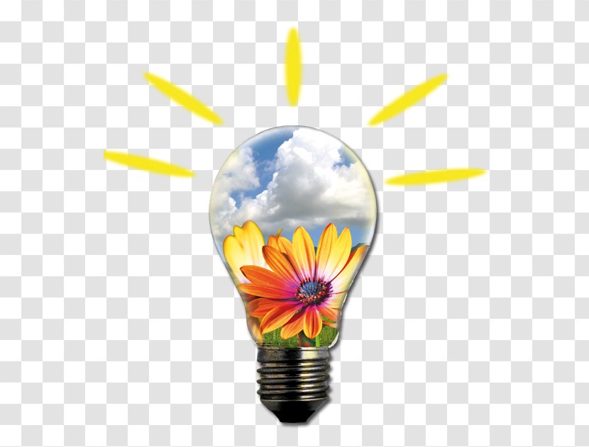 Alternative Energy Lighting Flower Gal Partenio Consorzio - Yellow Transparent PNG