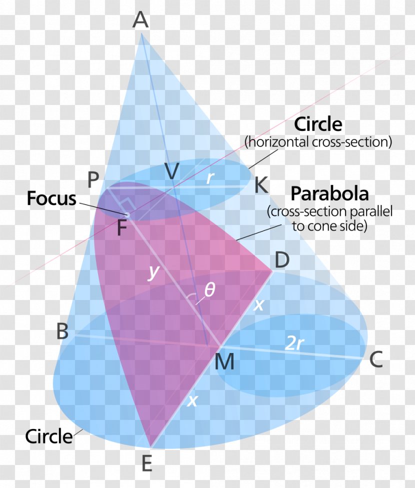 Parabola Conic Section Hyperbola Cone Focus - Circle Transparent PNG