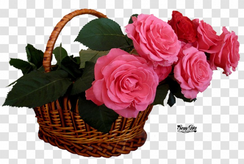 Pink Flowers Rose High-definition Television Basket - Plant - Glamour Transparent PNG
