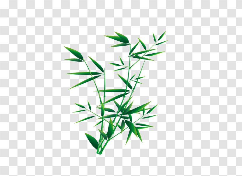 Tropical Woody Bamboos Image Design Bamboo Painting - Grasses Transparent PNG