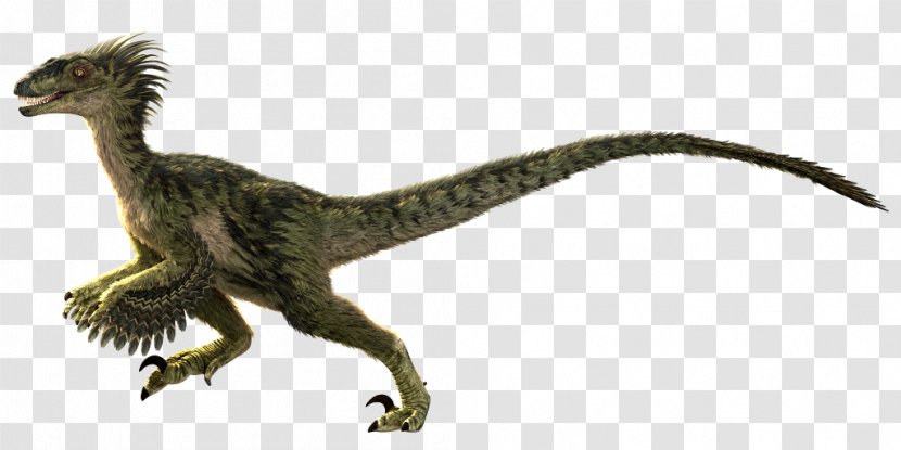 Velociraptor Primal Carnage Dinosaur Tyrannosaurus Rage - Skin Transparent PNG