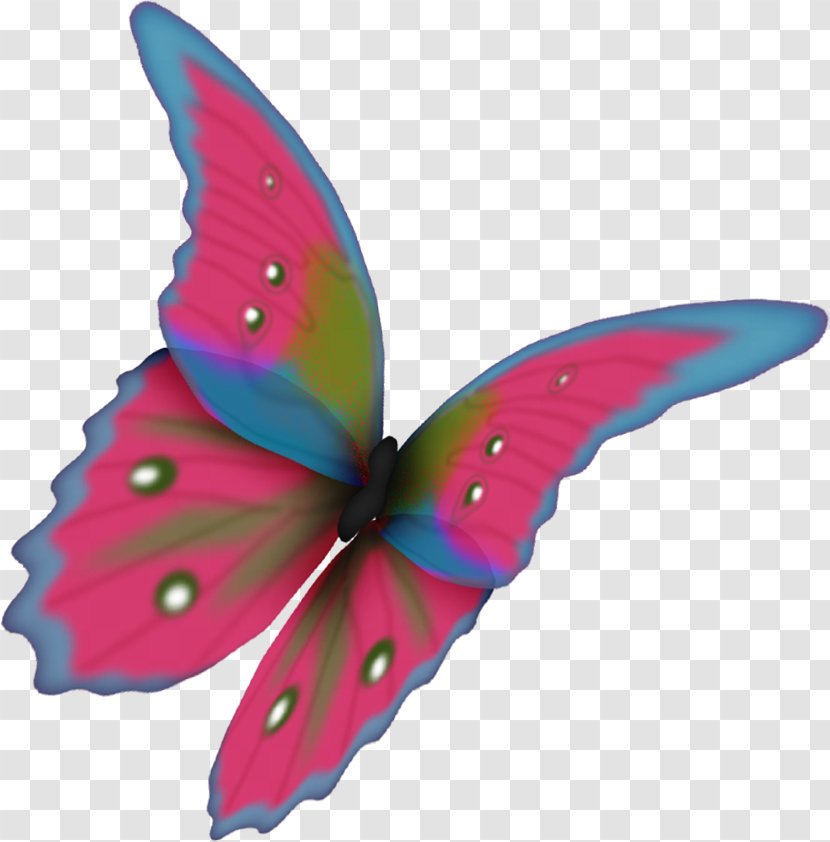 Butterfly Moth Flower Clip Art - Insect Transparent PNG