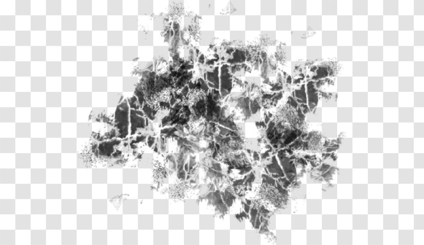 White Branching - Black And Transparent PNG