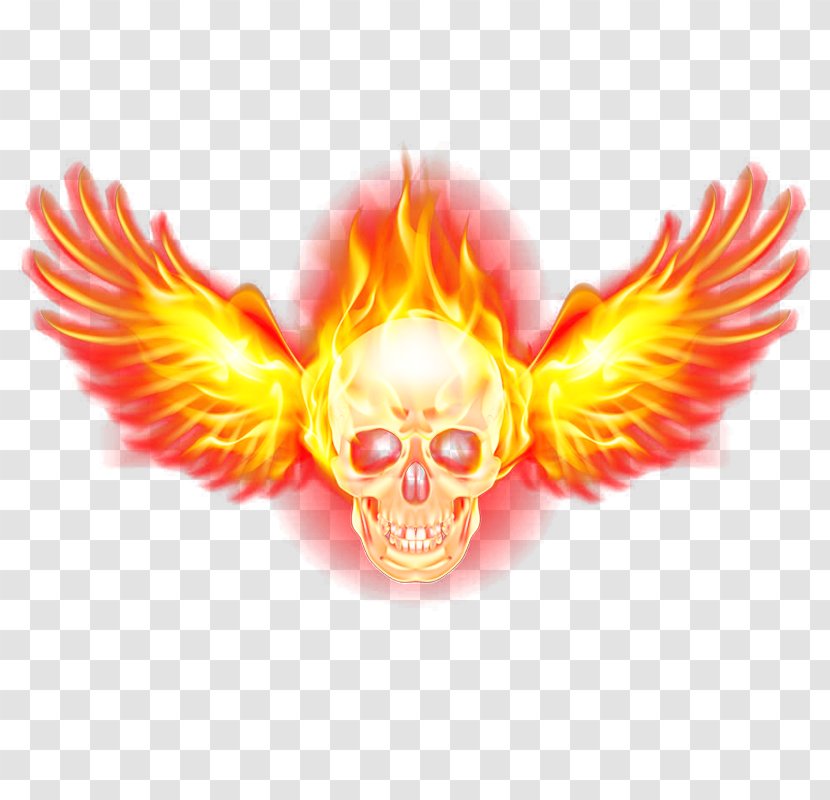 Flame Fire Wing - Logo - Skeleton Transparent PNG