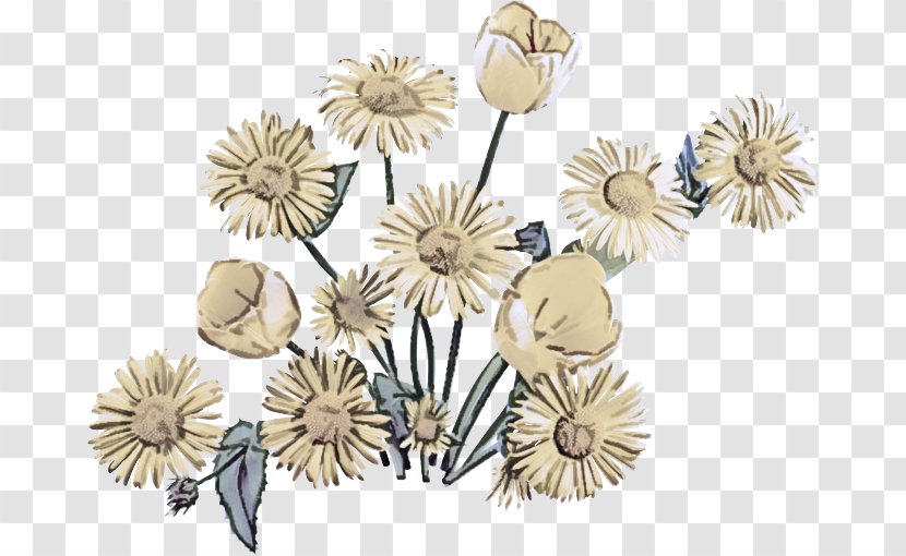 Dandelion Flower Plant Wildflower - Anemone - Perennial Transparent PNG