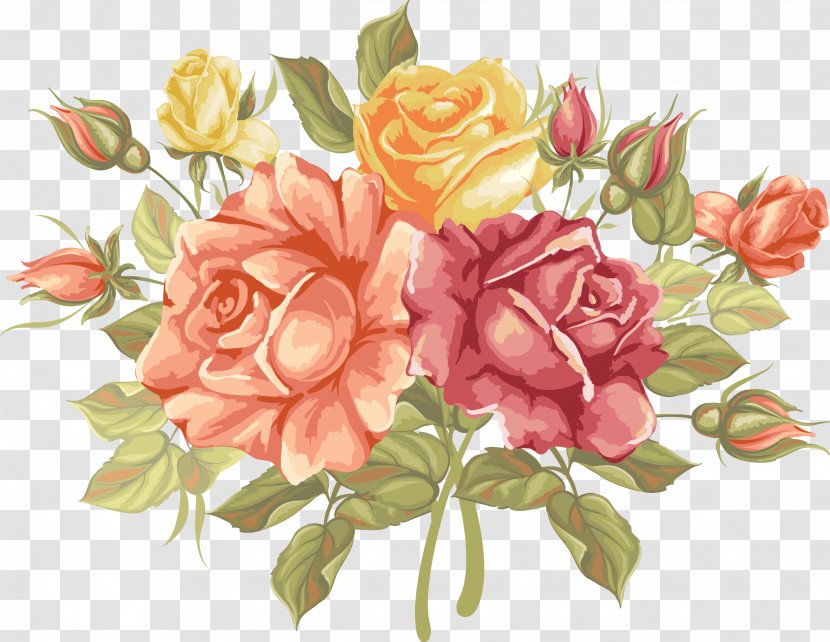 Garden Roses Cabbage Rose Floral Design Floribunda Cut Flowers - Flower Transparent PNG