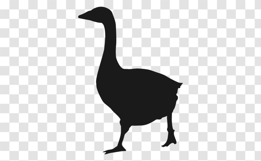 Daisy Duck Goose Silhouette Drawing - Beak Transparent PNG