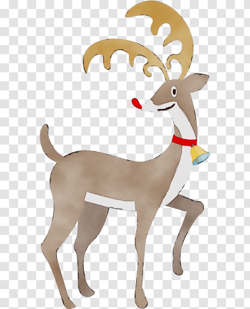 Reindeer - Deer - Goats Wildlife Transparent PNG