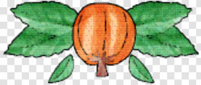 Fruit Tree - Insect - Plant Plants Transparent PNG