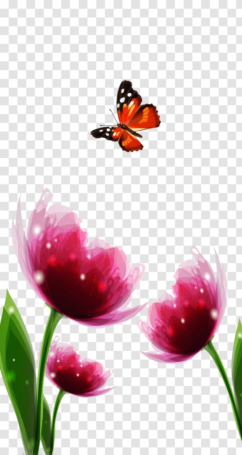 Butterfly Nymphalidae Tulip Flower - Insect - Tulips Cited Picture Material Transparent PNG