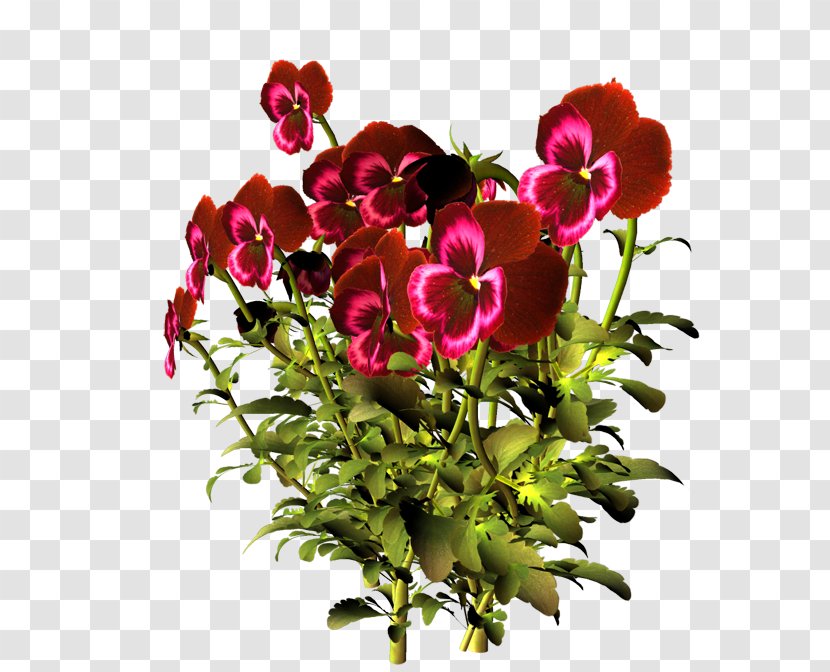 Cut Flowers Pansy Floral Design Clip Art - Flower Transparent PNG