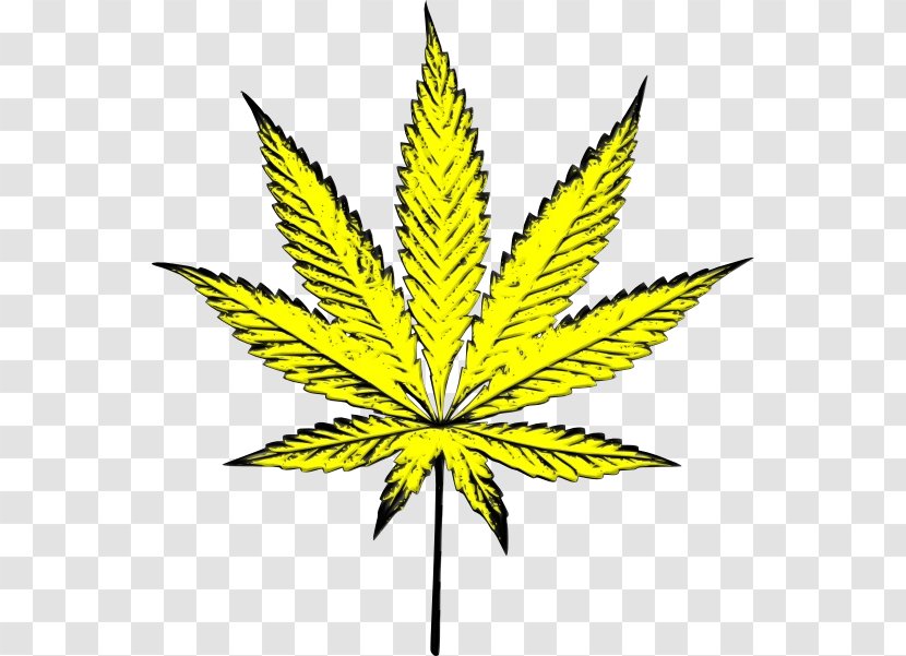 Cannabis Plant Stem Leaf Graphics Line - Weed Transparent PNG