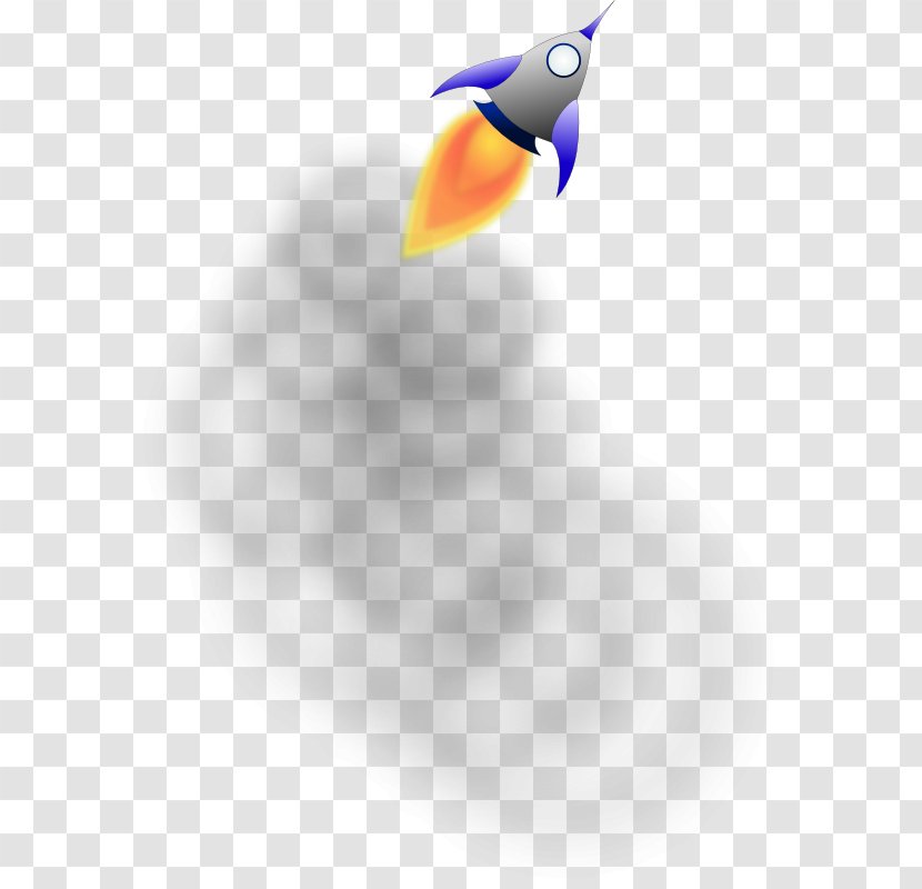 Bird Beak Toucan Desktop Wallpaper - Closeup - Rocket Launch Pictures Transparent PNG