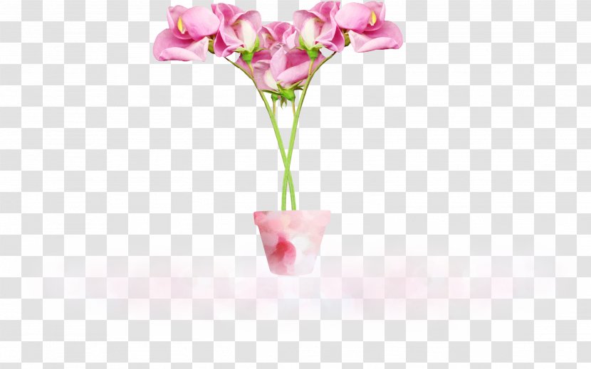 Moth Orchids Vase Cut Flowers Still Life Photography - Flowerpot - Pink Creative Rich Transparent PNG
