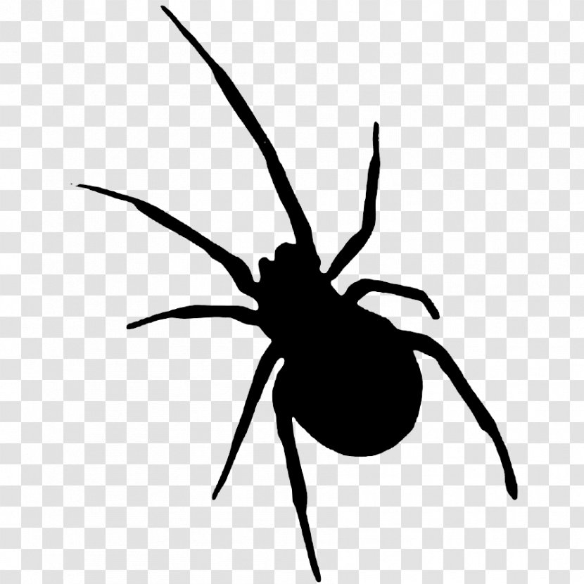 Halloween Clip Art - Arachnid - Sombra Transparent PNG