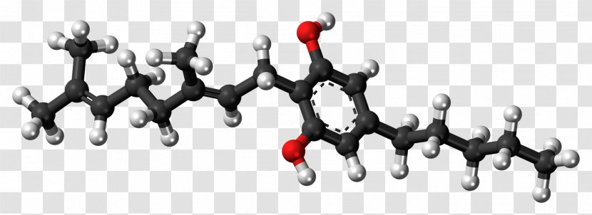 Cannabigerol Cannabinoid Cannabis Cannabidiol Chemical Compound - Body Jewelry Transparent PNG