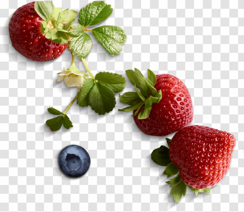 Shortcake Cupcake Strawberry Raspberry - Blueberries Transparent PNG