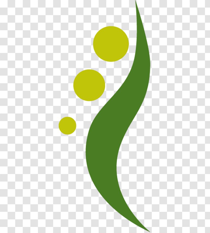 Leaf Fertilisers Amino Acid Hydrolyzed Protein Liquid - Boron - Green Nuts Transparent PNG