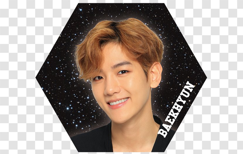 Coming Over EXO Hair Coloring Hairstyle - Baekhyun - Winter Sale Transparent PNG