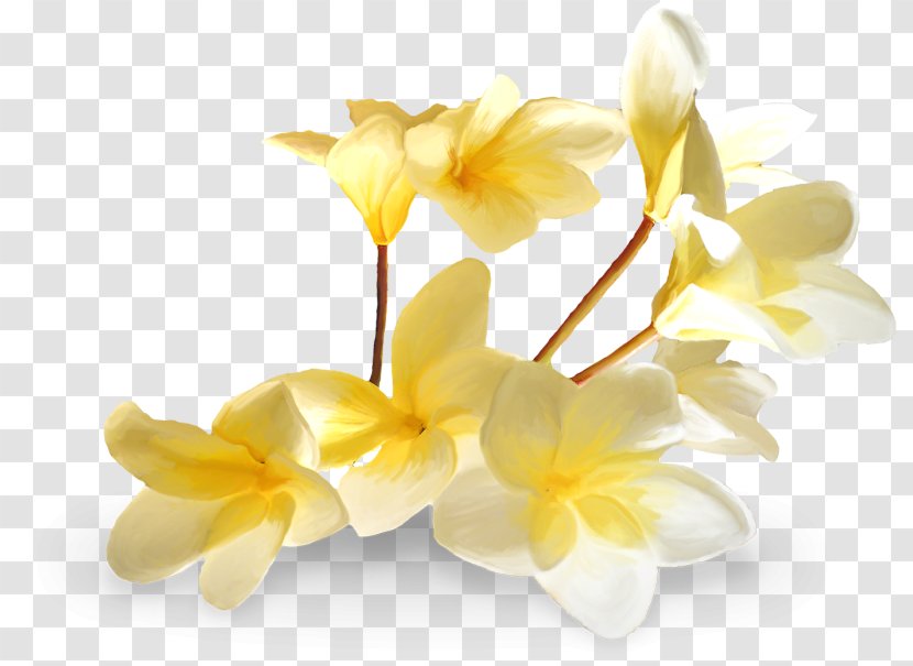 H&M Clothing Flower Fashion Interior Design Services - Yellow Flowers Rural Wind Transparent PNG