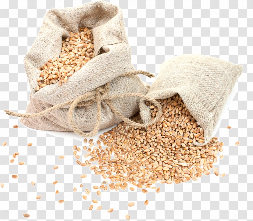Wheat Crop Barley Cereal Germ - Staple Food - Spike Transparent PNG