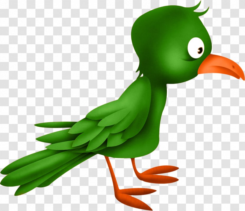 Bird Duck - Computer Software - Birds Transparent PNG