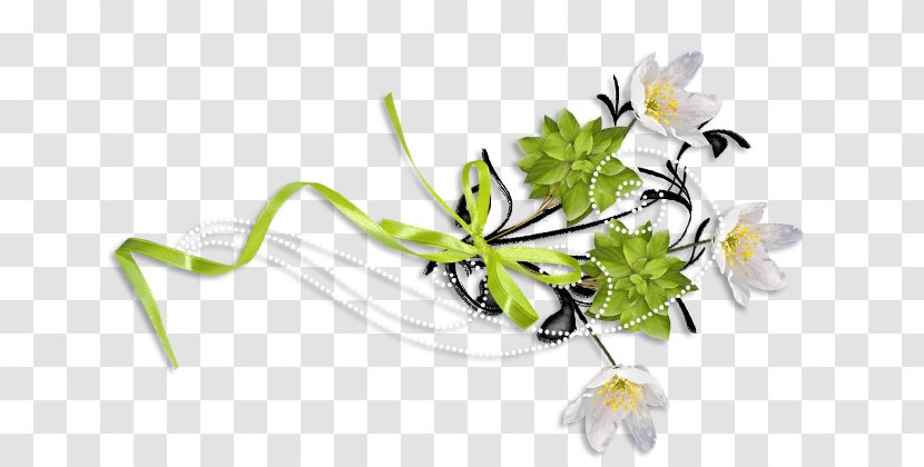 Picture Frames Flower Scrapbooking Clip Art - De Transparent PNG