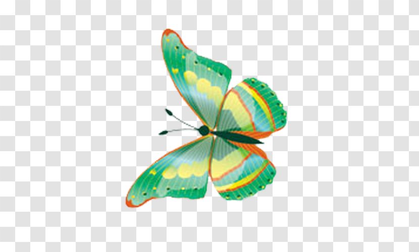 Butterfly Green - Gimp Transparent PNG