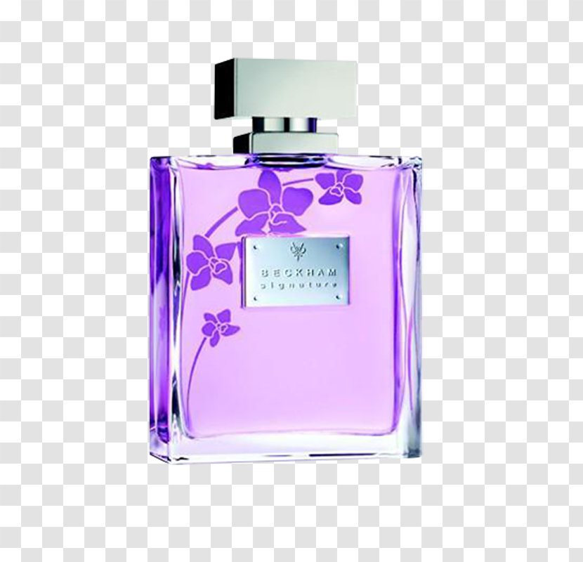 Perfume Homme By David Beckham Woman Chypre Odor - Victoria - Perfumer Transparent PNG