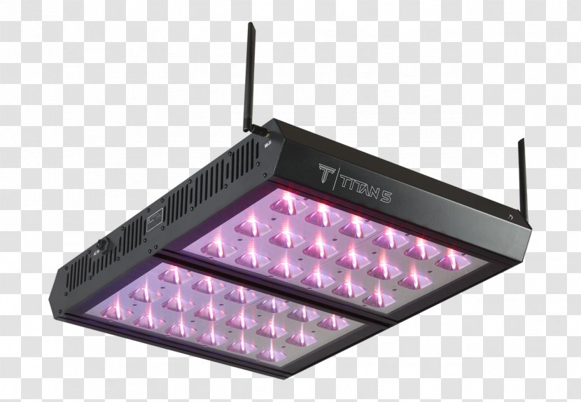 Grow Light Light-emitting Diode Lighting Full-spectrum - Highintensity Discharge Lamp Transparent PNG