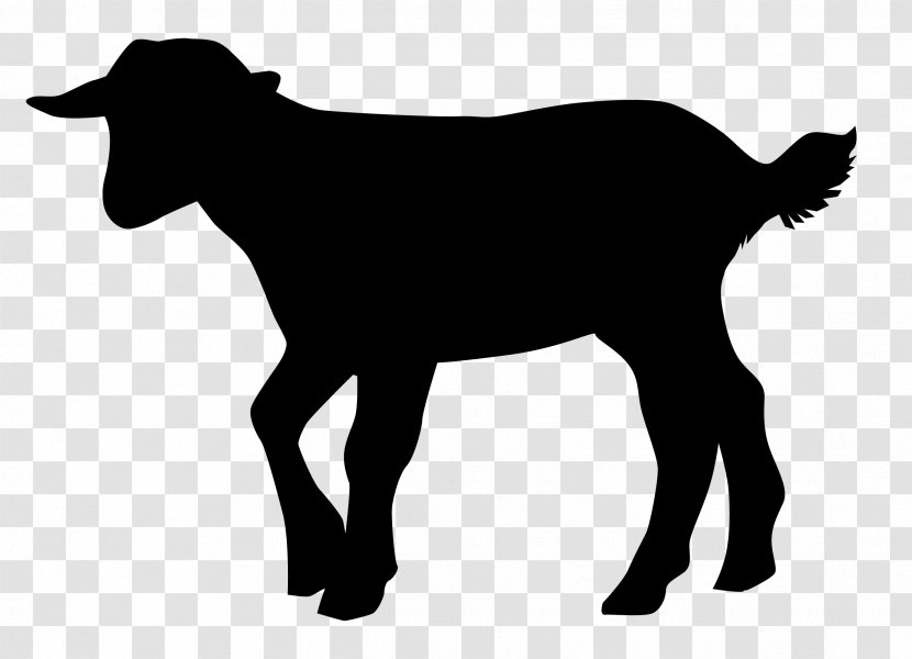 Cattle Sheep Goat Intensive Animal Farming L214 - Mustang Horse Transparent PNG