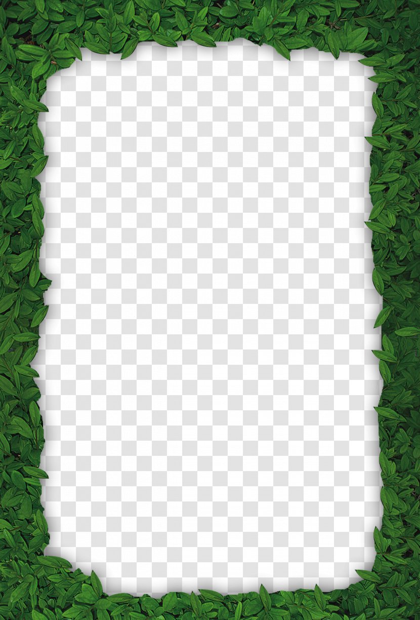 Green Leaf Euclidean Vector - Vecteur - Leaves, Frame Transparent PNG