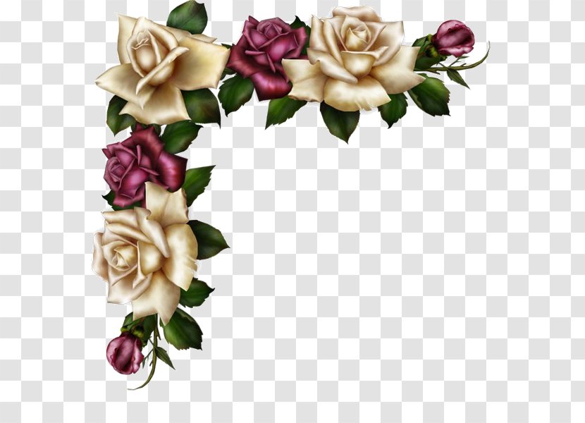 Floral Design Flower Clip Art - Rose Family Transparent PNG