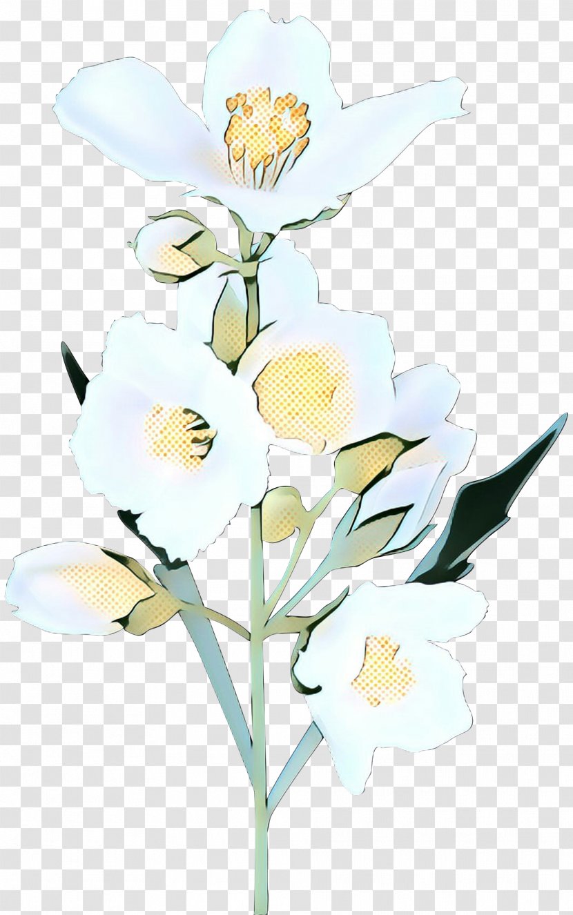 Flower Flowering Plant Cut Flowers Pedicel - Ixia Iris Transparent PNG