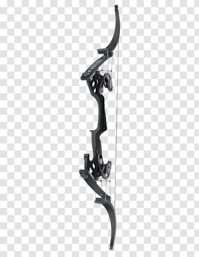 Compound Bows Bow And Arrow Bowhunting Archery - Hunting - Alec Lightwood Transparent PNG