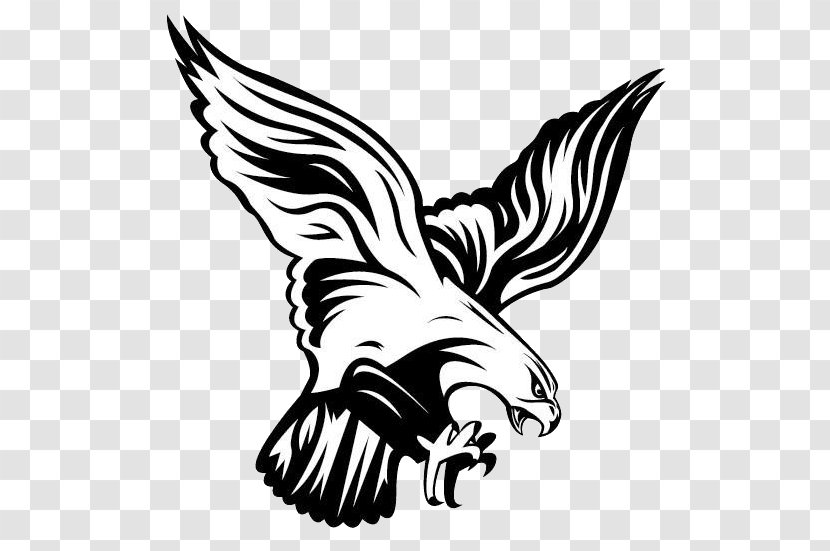 Atlanta Falcons Flambeau Junior High School Philadelphia Eagles Chippewa Falls - Art Transparent PNG