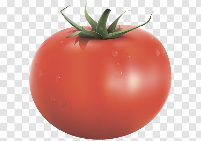 Vegetable Cherry Tomato Blue Clip Art Transparent PNG
