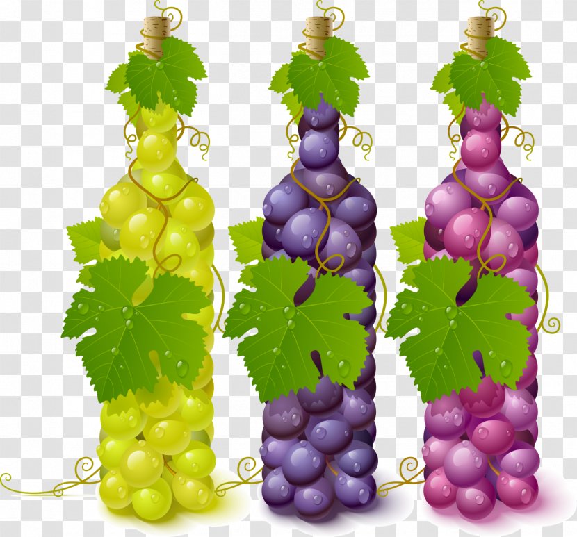 Common Grape Vine Wine Leaves Transparent PNG
