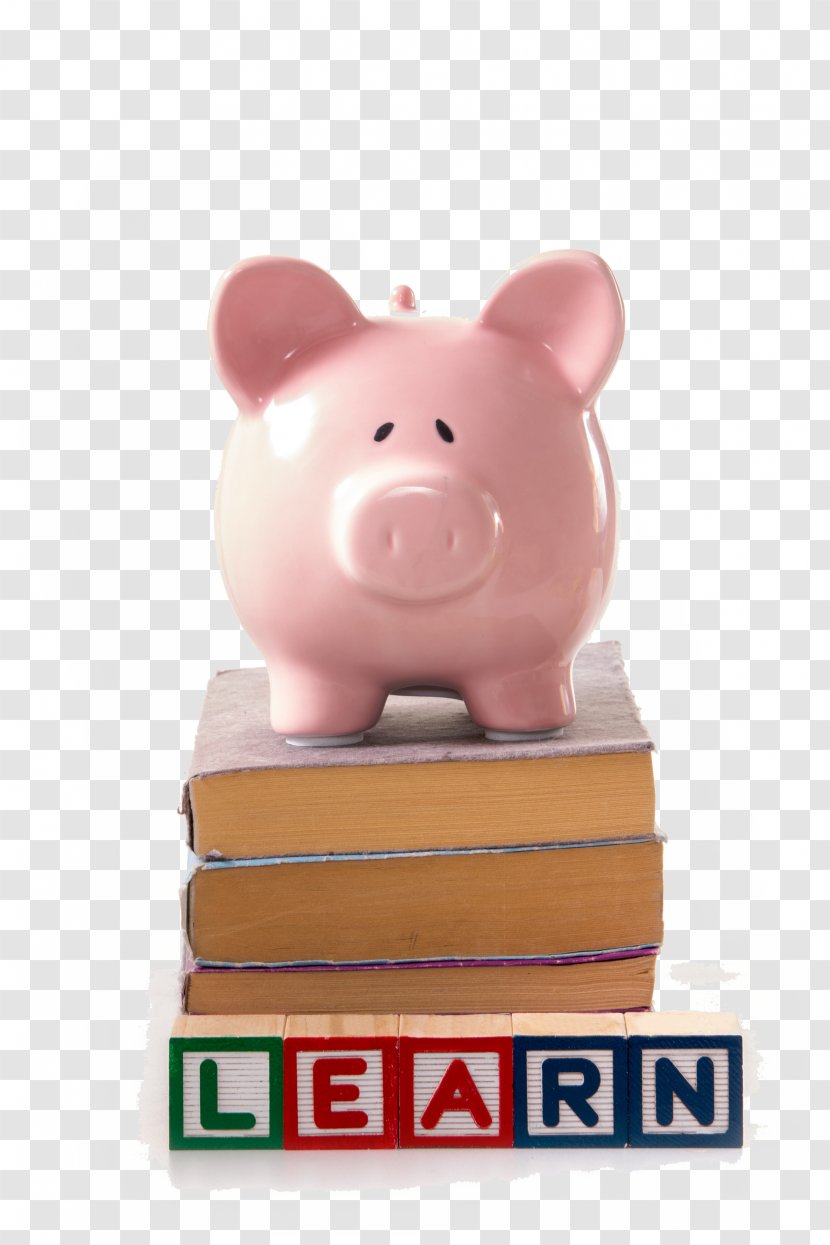 Piggy Bank Savings Money Transparent PNG