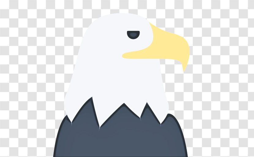 American Football Background - Headless Content Management System - Sea Eagle Bird Of Prey Transparent PNG