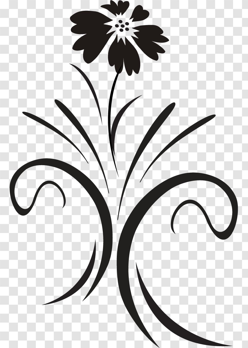 Floral Design Black And White Ornamental Plant Graphics - Painting - Hand-painted Plants Transparent PNG