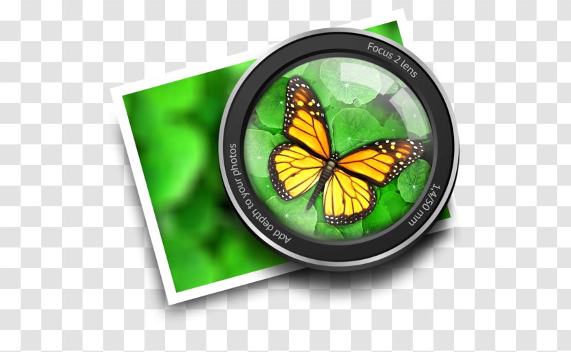 MacOS MacBook Pro Computer Software Adobe Lightroom - Moths And Butterflies - Tonality Transparent PNG