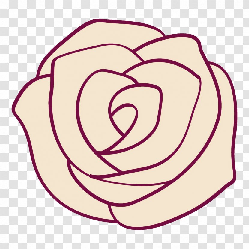 Rose - Plant - Magenta Transparent PNG