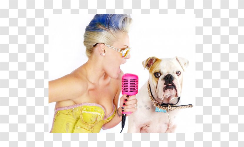 Bulldog Breeds French Puppy - Rescue Dog - Alecia Moore (p!nk) Transparent PNG