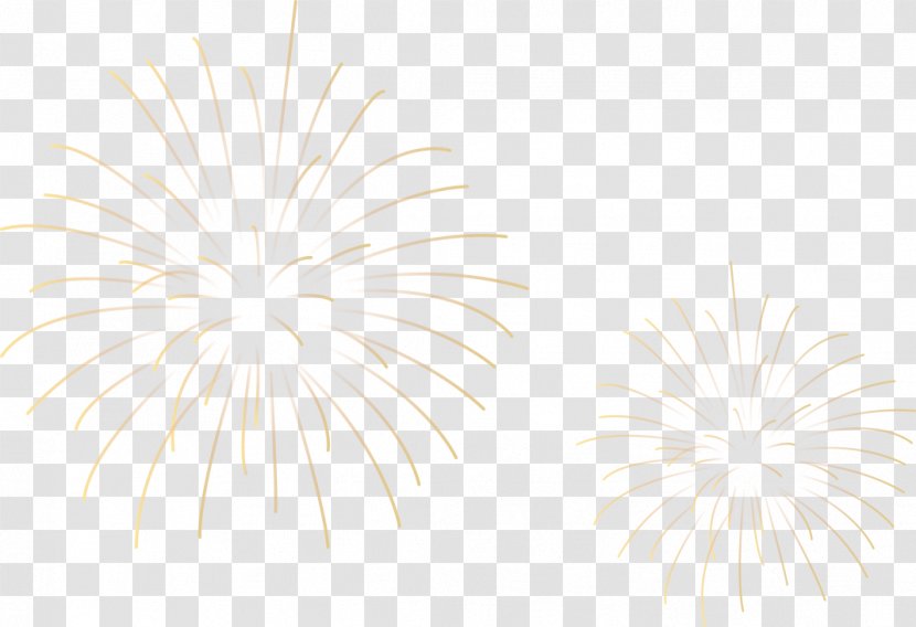 White Symmetry Tree Circle Pattern - Fireworks Transparent PNG