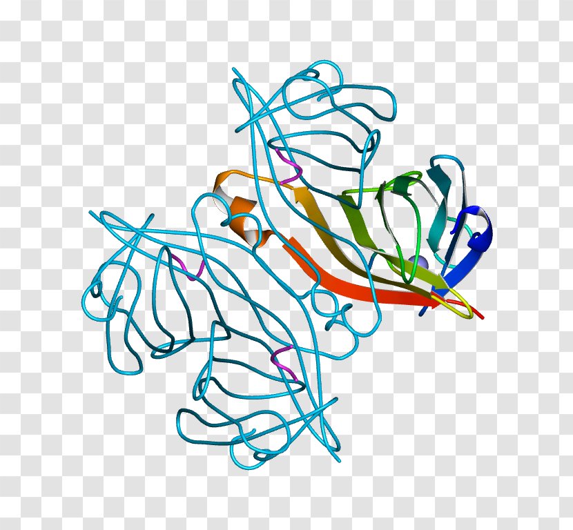 Clip Art Illustration Line Graphics Product - Leaf - Von Willebrand Disease Mutations Transparent PNG