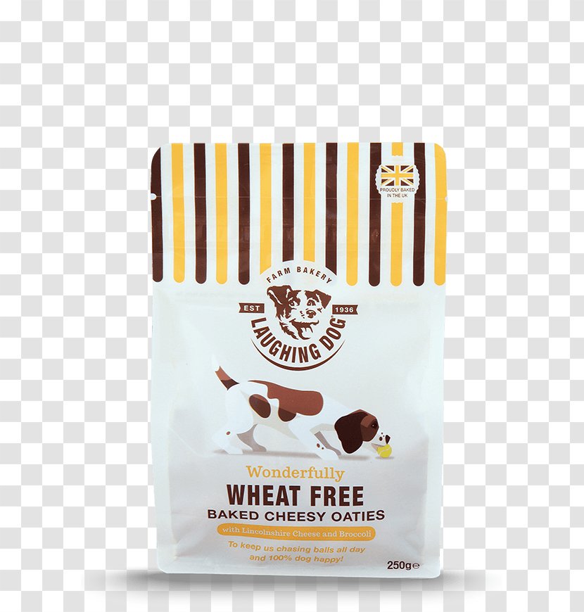 Dog Biscuit Puppy Food Veterinarian - Cereal - Cheese Transparent PNG